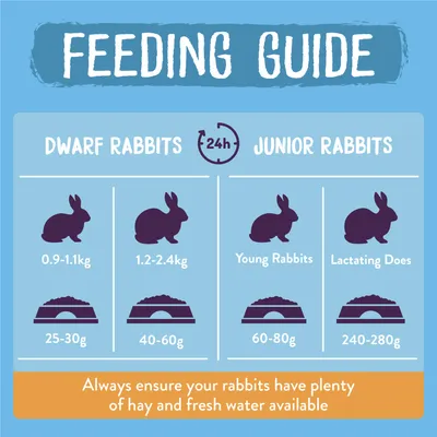 Feeding guide showing daily food amounts: dwarf rabbits 0.9-1.1kg need 25-30g, 1.2-2.4kg need 40-60g, young rabbits 60-80g, lactating does 240-280g. Provide hay and water.