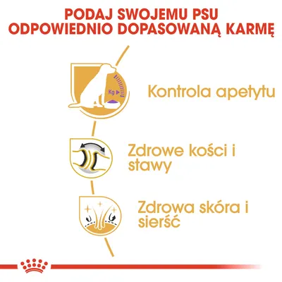 Podaj swojemu psu odpowiednio dopasowaną karmę: kontrola apetytu, zdrowe kości i stawy, zdrowa skóra i sierść. Ikony ilustrujące każdy z aspektów.