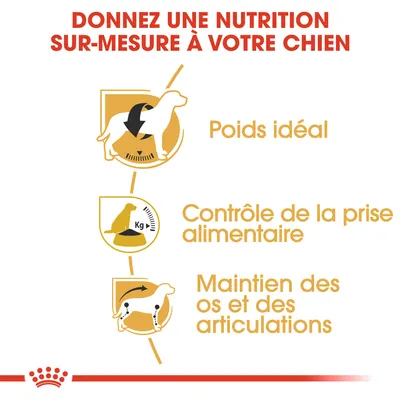 Donnez une nutrition sur-mesure à votre chien : poids idéal, contrôle de la prise alimentaire, maintien des os et des articulations. Texte en français belge.