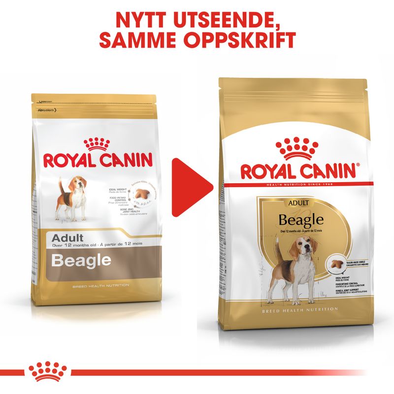 Royal Canin Beagle Adult