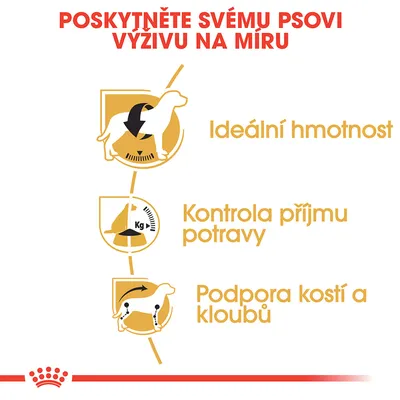 Text v češtine: Poskytněte svému psovi výživu na míru. Ideální hmotnost, kontrola příjmu potravy, podpora kostí a kloubů. Ilustrácie psa a ikon.