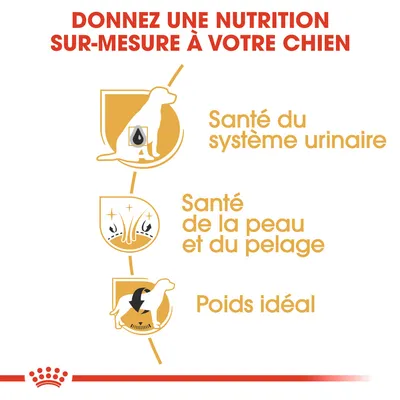 Texte : Donnez une nutrition sur-mesure à votre chien. Santé du système urinaire, santé de la peau et du pelage, poids idéal.