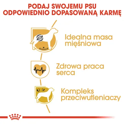 Podaj swojemu psu odpowiednio dopasowaną karmę. Idealna masa mięśniowa, zdrowa praca serca, kompleks przeciwutleniaczy.