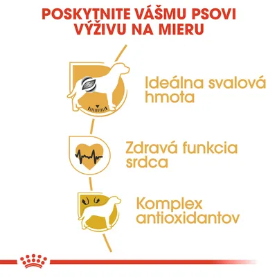 Poskytnite vášmu psovi výživu na mieru: Ideálna svalová hmota, zdravá funkcia srdca, komplex antioxidantov.