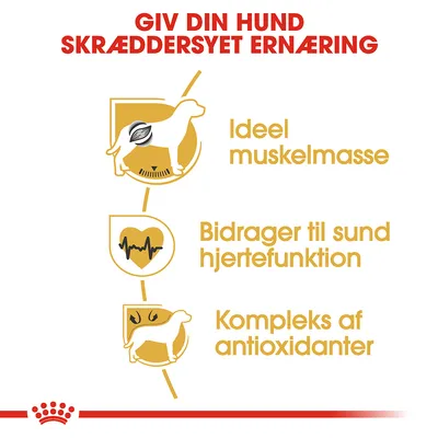 GIV DIN HUND SKRÆDDERSYET ERNÆRING. Ideel muskelmasse. Bidrager til sund hjertefunktion. Kompleks af antioxidanter.