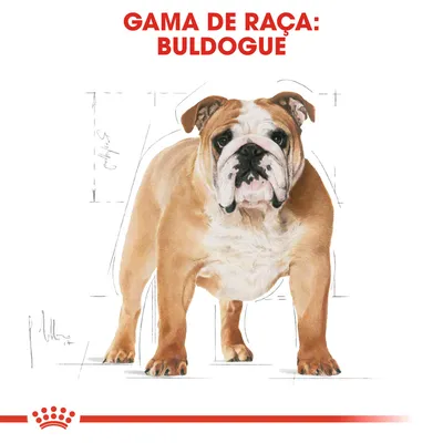 Texto visível: GAMA DE RAÇA: BULDOGUÊ. Ilustração de um buldogue em destaque, com linhas de esboço ao fundo e faixa vermelha com coroa na parte inferior.
