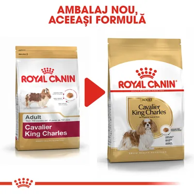 Ambalaj nou pentru Royal Canin Adult Cavalier King Charles, aceeași formulă. Imagine cu vechiul și noul ambalaj al produsului pentru câini adulți peste 10 luni.