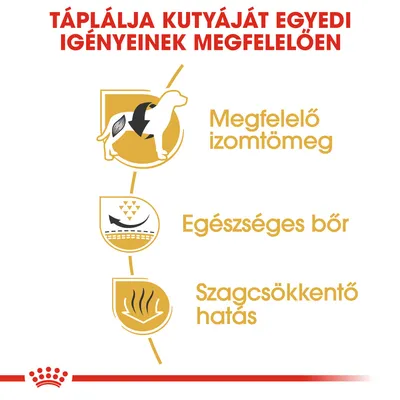 Táplálja kutyáját egyedi igényeinek megfelelően. Megfelelő izomtömeg, egészséges bőr, szagcsökkentő hatás.