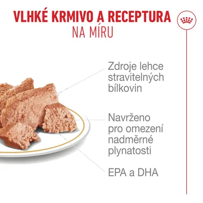 Royal Canin Francouzský buldoček paštika