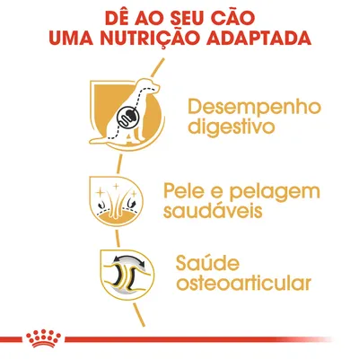 Dê ao seu cão uma nutrição adaptada: desempenho digestivo, pele e pelagem saudáveis, saúde osteoarticular. Texto promocional com ícones ilustrativos.