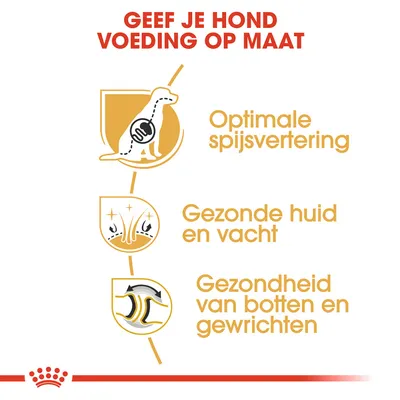 Geef je hond voeding op maat: optimale spijsvertering, gezonde huid en vacht, gezondheid van botten en gewrichten.