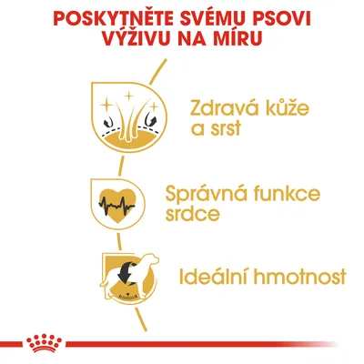 Poskytněte svému psovi výživu na míru: Zdravá kůže a srst, správná funkce srdce, ideální hmotnost. Tři ikony znázorňující tyto benefity.