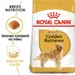 Royal Canin Golden Retriever Adult
