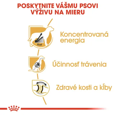 Poskytnite vášmu psovi výživu na mieru. Koncentrovaná energia, účinnosť trávenia, zdravé kosti a kĺby. Text v slovenčine s ikonami psa.