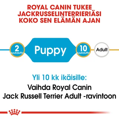 Royal Canin tukee jackrusselinterrieriäsi koko elämän ajan. 2–10 kk Puppy, yli 10 kk: vaihda Royal Canin Jack Russell Terrier Adult -ravintoon.