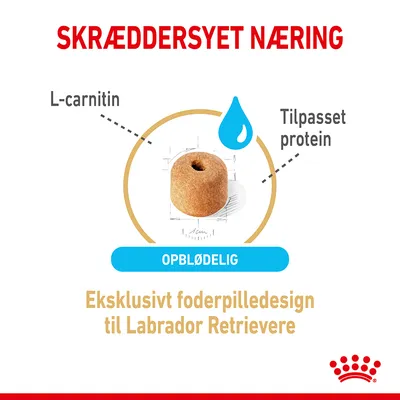 Skræddersyet næring. L-carnitin, tilpasset protein, opblødelig. Eksklusivt foderpilledesign til Labrador Retrievere. Billede af en rund foderpille med hul i midten.