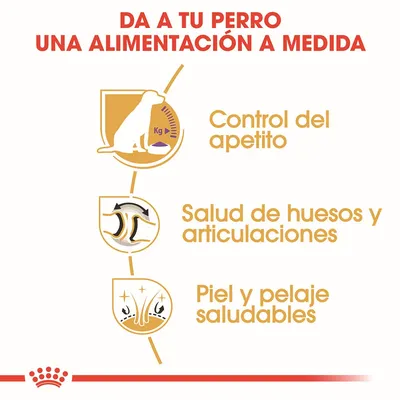 Da a tu perro una alimentación a medida. Control del apetito, salud de huesos y articulaciones, piel y pelaje saludables.