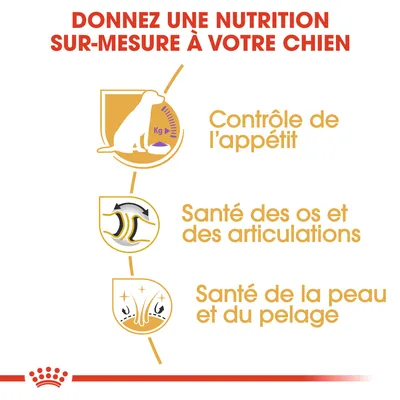 Donnez une nutrition sur-mesure à votre chien. Contrôle de l’appétit, santé des os et des articulations, santé de la peau et du pelage.