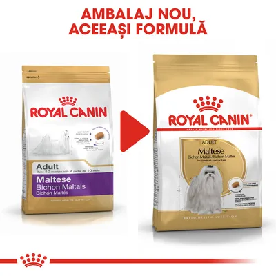 Ambalaj nou, aceeași formulă. Două pungi Royal Canin Adult Maltese Bichon Maltais pentru câini adulți, vechi și nou, cu imaginea unui bichon maltez pe fiecare ambalaj.