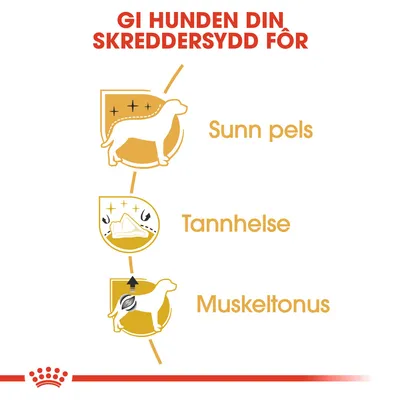 Royal Canin Poodle Adult