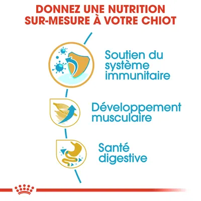 Donnez une nutrition sur-mesure à votre chiot : soutien du système immunitaire, développement musculaire, santé digestive.