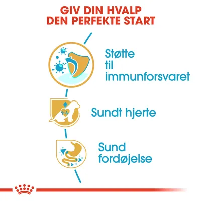 GIV DIN HVALP DEN PERFEKTE START. Støtte til immunforsvaret, Sundt hjerte, Sund fordøjelse. Tre ikoner illustrerer hvert punkt.