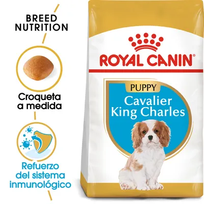 Royal Canin Puppy Cavalier King Charles, croqueta a medida, refuerzo del sistema inmunológico. Imagen de bolsa y croqueta. Texto en inglés: Breed Nutrition.