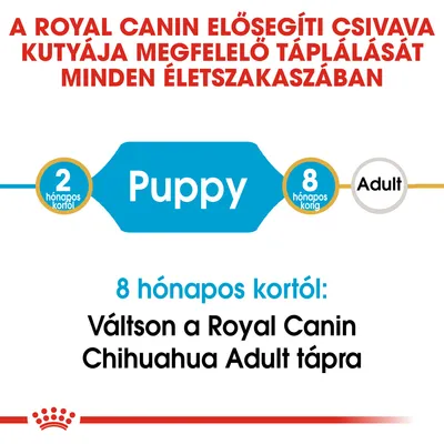 A Royal Canin elősegíti csivava kutyája megfelelő táplálását minden életszakaszban. 2 hónapos kortól Puppy, 8 hónapos kortól váltson Royal Canin Chihuahua Adult tápra.