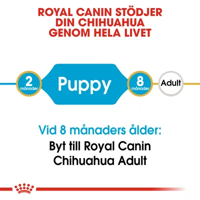 Royal Canin stöder din chihuahua genom hela livet. Puppy 2 månader, Adult 8 månader. Vid 8 månaders ålder: Byt till Royal Canin Chihuahua Adult.