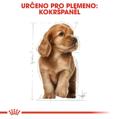 Určeno pro plemeno: kokršpaněl. Ilustrace psa s nápisem zvýrazňujícím vhodnost produktu pro toto plemeno.