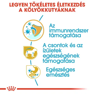 Legyen tökéletes életkezdés a kölyökkutyáknak. Az immunrendszer támogatása, a csontok és ízületek egészségének támogatása, egészséges emésztés.