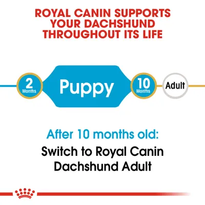 Royal Canin Dachshund Puppy