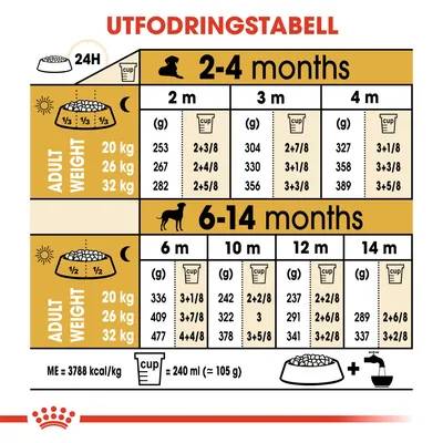 Utfodringstabell för hundvalpar: dagliga mängder i gram och koppar för vuxenvikt 20, 26, 32 kg vid 2–4 månader och 6–14 månader. 1 kopp = 240 ml (≈105 g).