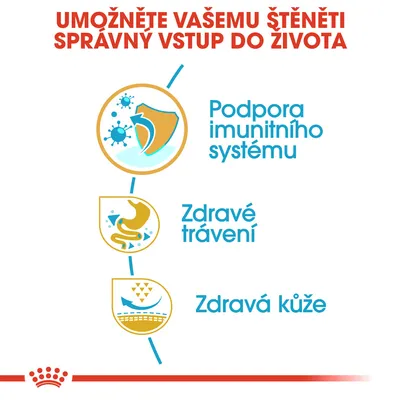 Podpora imunitního systému, zdravé trávení, zdravá kůže – klíčové benefity pro štěňata uvedené na obrázku s ikonami a textem.