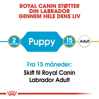 ROYAL CANIN STØTTER DIN LABRADOR GENNEM HELE DENS LIV. Puppy 2 måneder–15 måneder. Fra 15 måneder: Skift til Royal Canin Labrador Adult.