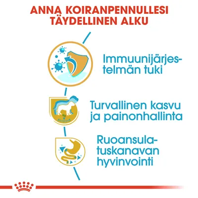 Anna koiranpennullesi täydellinen alku: immuunijärjestelmän tuki, turvallinen kasvu ja painonhallinta, ruoansulatuskanavan hyvinvointi.