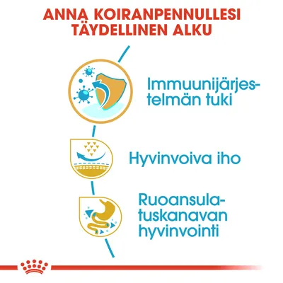 Anna koiranpennullesi täydellinen alku. Immuunijärjestelmän tuki, hyvinvoiva iho, ruoansulatuskanavan hyvinvointi.