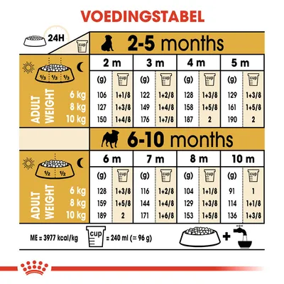 Voedingstabel voor pups: dagelijkse hoeveelheid voer in grammen en cups per leeftijd (2–10 maanden) en volwassen gewicht (6, 8, 10 kg). 1 cup = 240 ml (≈96 g), ME = 3977 kcal/kg.