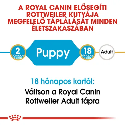 Royal Canin: Rottweiler kölyök 2 hónapos kortól 18 hónapos korig Puppy táp, 18 hónapos kortól váltson Royal Canin Rottweiler Adult tápra. Adult felirat is látható.
