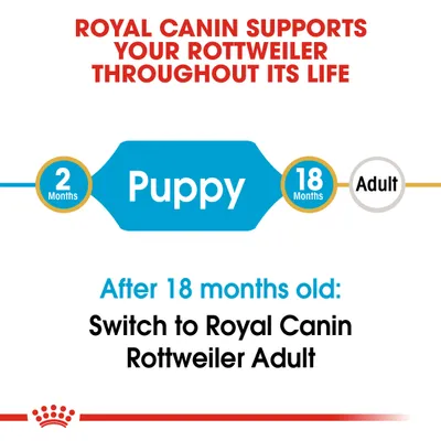 Κείμενο στα αγγλικά: ROYAL CANIN SUPPORTS YOUR ROTTWEILER THROUGHOUT ITS LIFE. Puppy 2–18 Months. After 18 months old: Switch to Royal Canin Rottweiler Adult.