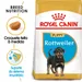 Royal Canin Rottweiler Puppy