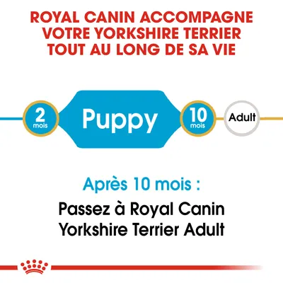 Royal Canin accompagne votre Yorkshire Terrier tout au long de sa vie. Puppy 2 mois à 10 mois, après 10 mois : passez à Royal Canin Yorkshire Terrier Adult.