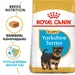 Royal Canin Yorkshire Terrier Puppy