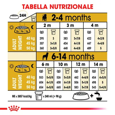Tabella nutrizionale: dosi giornaliere in grammi e cup per cani 40–50 kg da 2 a 14 mesi. Include suddivisione pasti, equivalenza cup=240 ml (≈98 g), ME=3857 kcal/kg. Tabella nutrizionale: dosi giornaliere in grammi e cup per cani 40–50 kg da 2 a 14 mesi. Include suddivisione pasti, equivalenza cup=240 ml (≈98 g), ME=3857 kcal/kg.