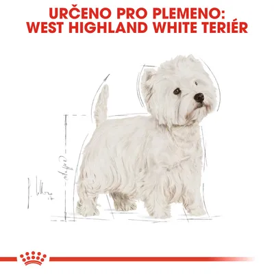 Určeno pro plemeno: West Highland White teriér. Ilustrace psa tohoto plemene.