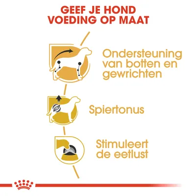 Geef je hond voeding op maat: ondersteuning van botten en gewrichten, spiertonus, stimuleert de eetlust.