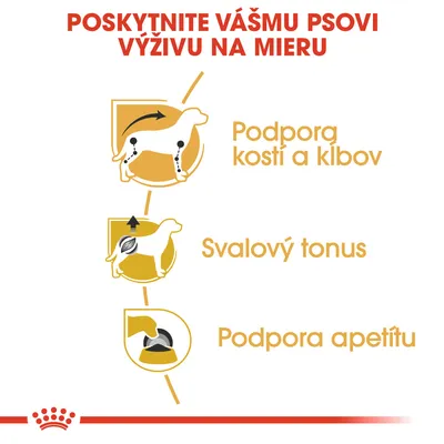 Poskytnite vášmu psovi výživu na mieru: podpora kostí a kĺbov, svalový tonus, podpora apetítu. Ilustrácie psa a misky s jedlom.