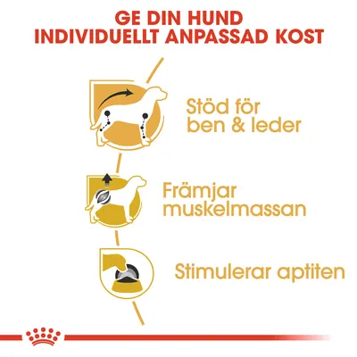 Ge din hund individuellt anpassad kost. Stöd för ben & leder. Främjar muskelmassan. Stimulerar aptiten.