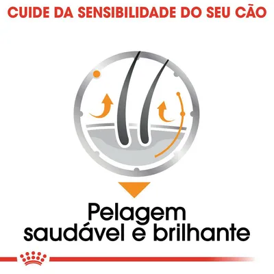 Cuide da sensibilidade do seu cão. Pelagem saudável e brilhante.