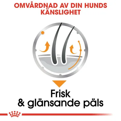 Omvårdnad av din hunds känslighet. Frisk & glansande päls.